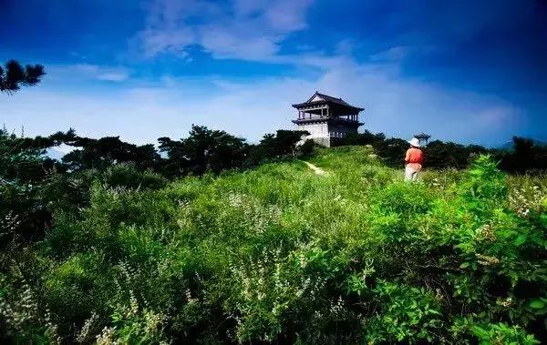 房子最新政策详解，背景、进展及其影响全面解析