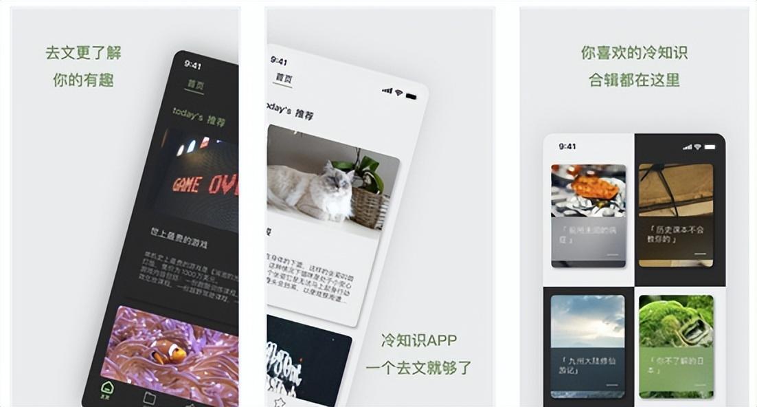 探索未知领域的独特路径，最新偏门发展之路揭秘