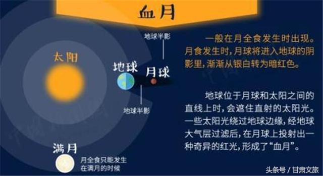 新澳门今晚必开一肖一特,全面实施策略数据_视频版24.487-3