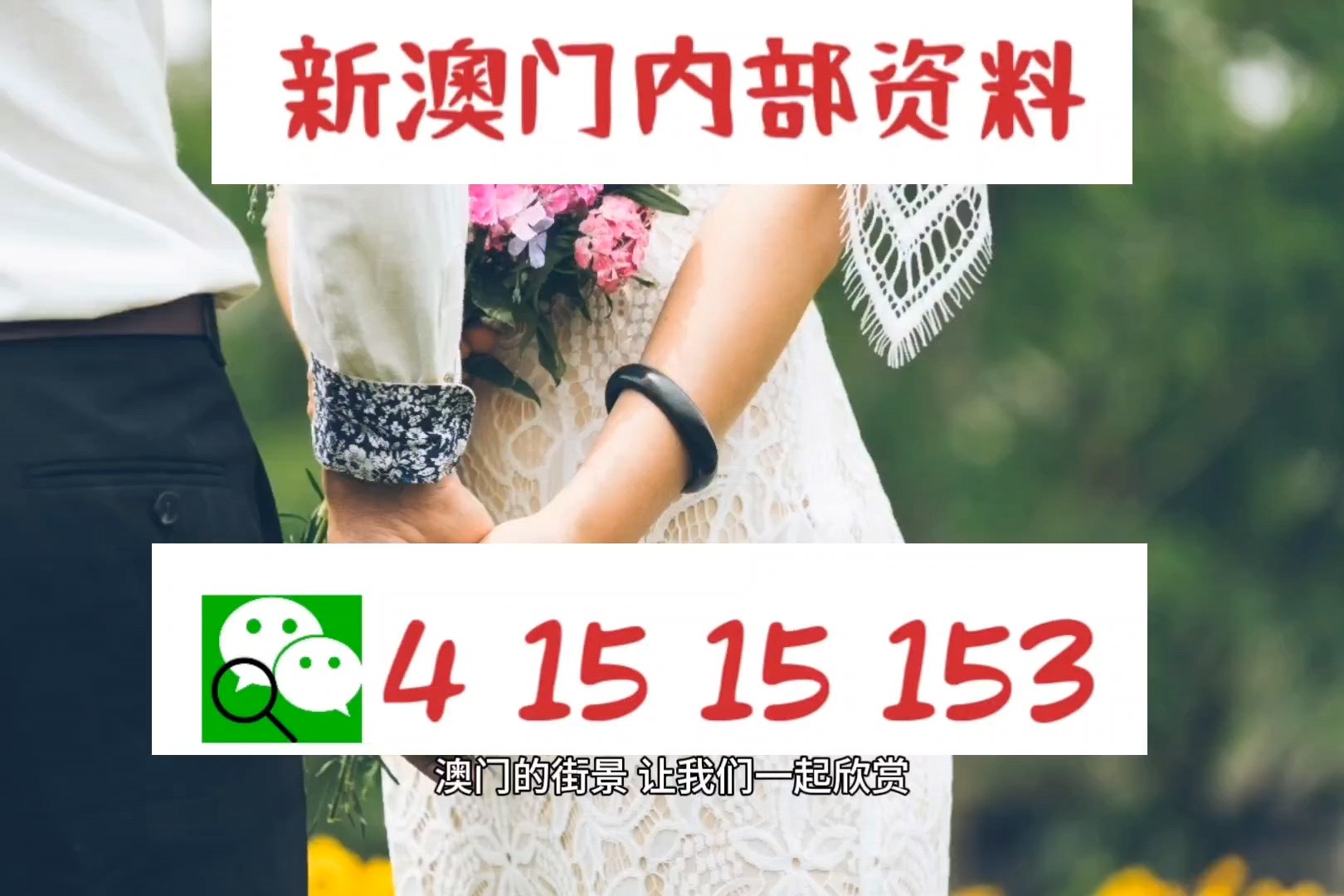 澳门特马,全面计划执行_免费版131.677-3