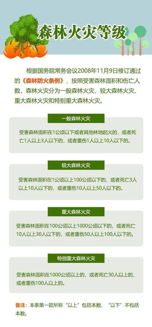 2024澳门六今晚开奖结果是多少,多样化策略执行_Executive18.640-2