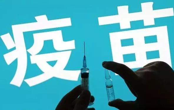 疫苗案最新进展揭秘，巷弄深处的神秘疫苗小店探秘