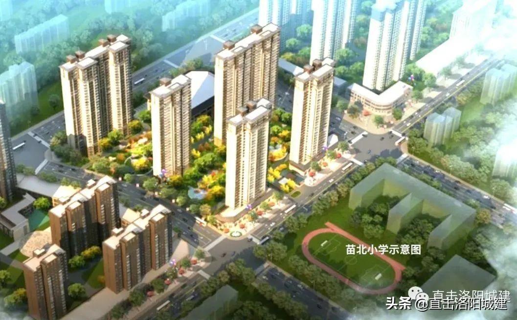 2024香港挂牌免费资料,持续改进策略_nShop4.204