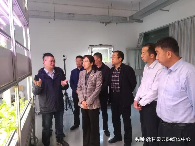 扬州最新消息,实地观察数据设计_增强版94.136