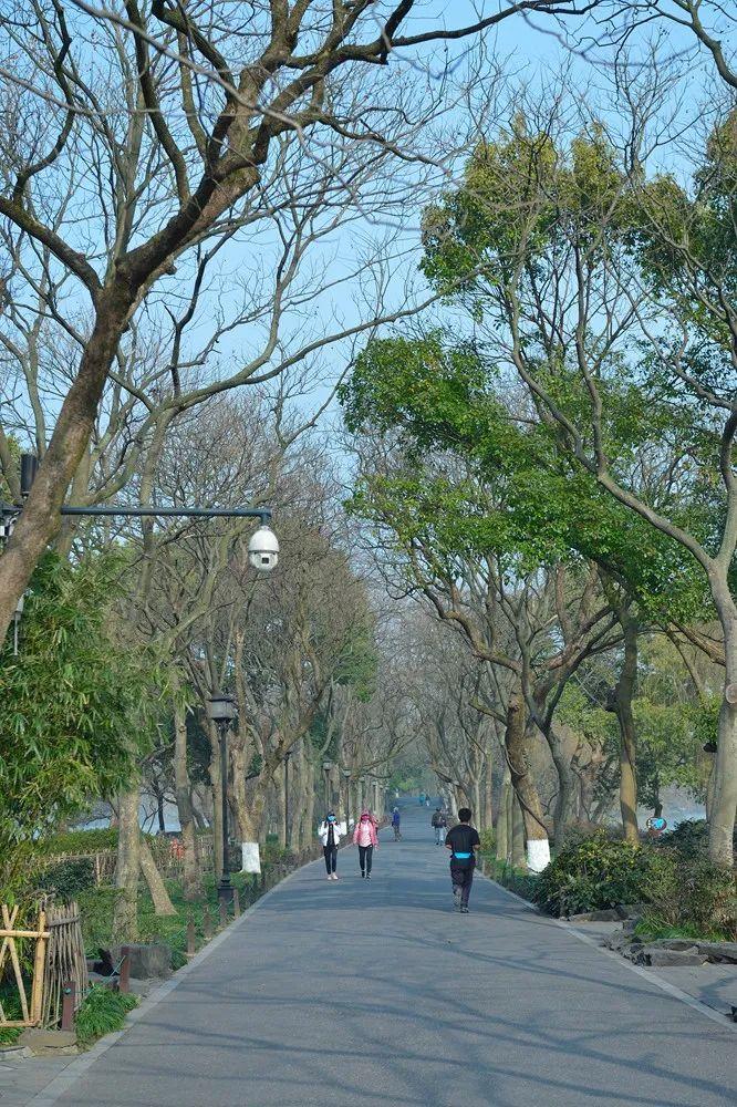 一站式城市服务平台 第300页