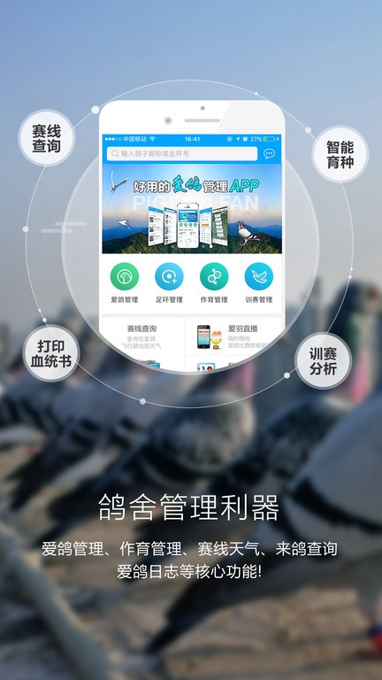 一个奇鸽最新版下载,新技术推动方略_投影版23.418