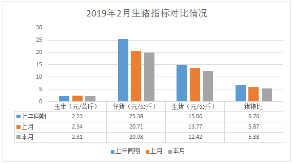 猪市行情深度解析，最新动态与观点阐述
