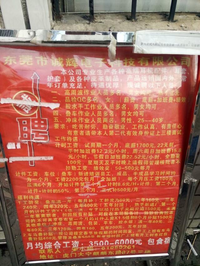 平望最新招聘信息揭秘，小巷深处的职业机遇