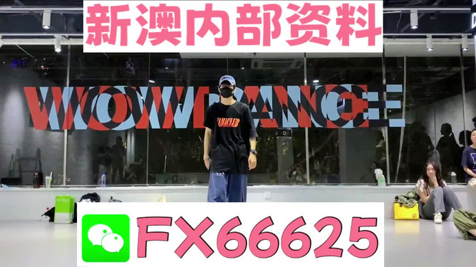 新澳门精准资料大全管家婆料,策略优化计划_设计师版13.769