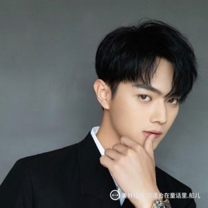 2025年新澳正版资料大全视频,科学分析严谨解释_原创版15.102