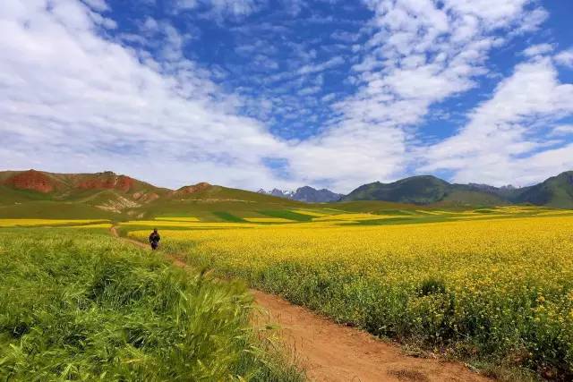 爱卓最新，自然美景之旅，探寻内心平和的旅程