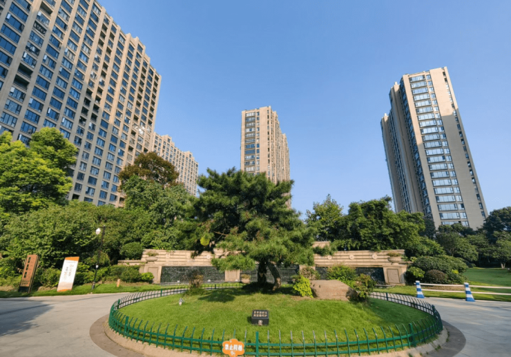 名望府最新房价，探索家的温馨日常之旅