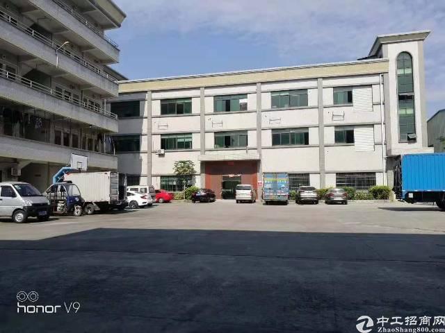 塘厦电子厂最新招聘，小巷深处的职业机遇