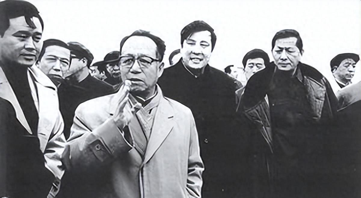 PP助手最新，数字时代的得力助手