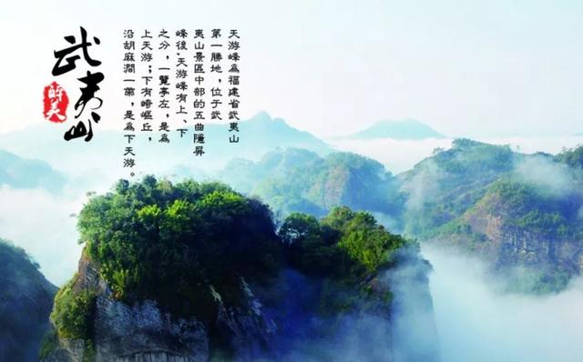 帝道独尊，自然美景之旅，探寻内心平和与喜悦的最新章节