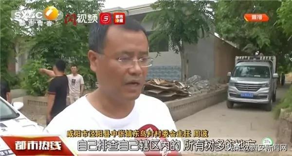 泾阳11岁男孩最新消息及步骤指南速递