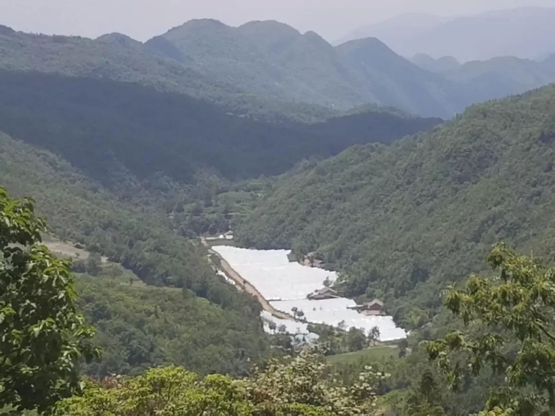 利川最新动态，自然美景探索之旅，寻找内心的宁静与喜悦