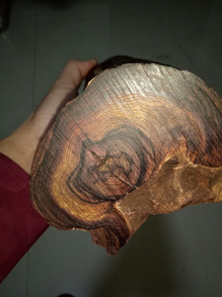越南黄花梨最新价格揭秘，市场走势与影响因素深度解析