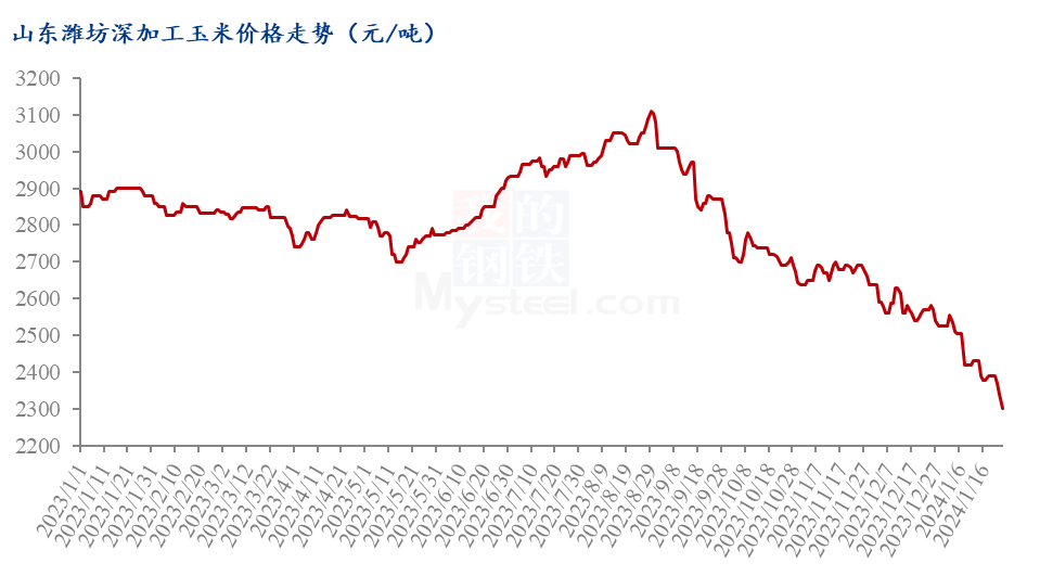河北玉米最新价格全面解析及行情动态今日播报