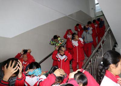 日照地震最新动态全面解析，指南与步骤详解