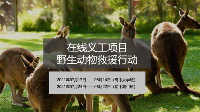 最新人与动物，学习变化，拥抱自信与成就感之路
