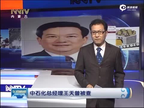 中石化王天普最新动态，引领石化行业迈向新高度的新征程