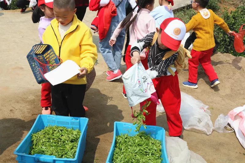 蓝海瑞园最新动态，自然美景的探索之旅，寻求内心的平和与宁静
