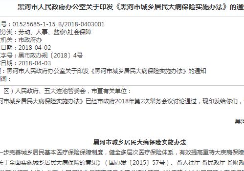 黑河最新资讯深度解析与观点论述