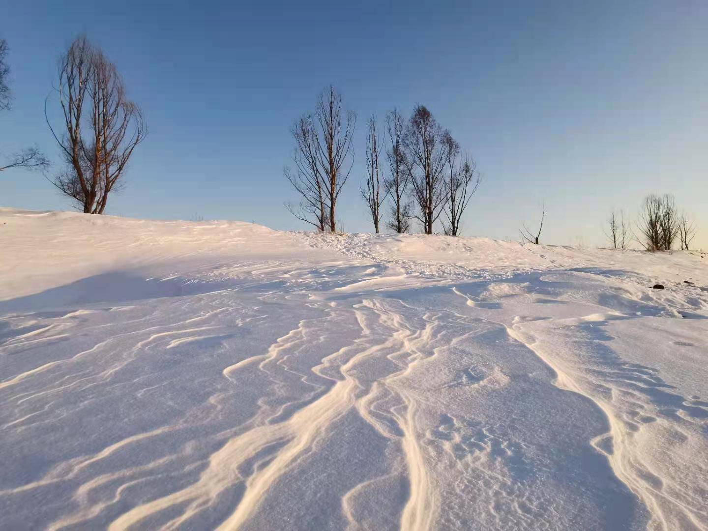 贵州广电上市，探索自然美景之旅，心灵远离尘嚣的启程