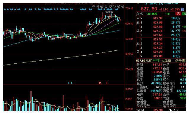 300465股票行情深度解析与走势预测
