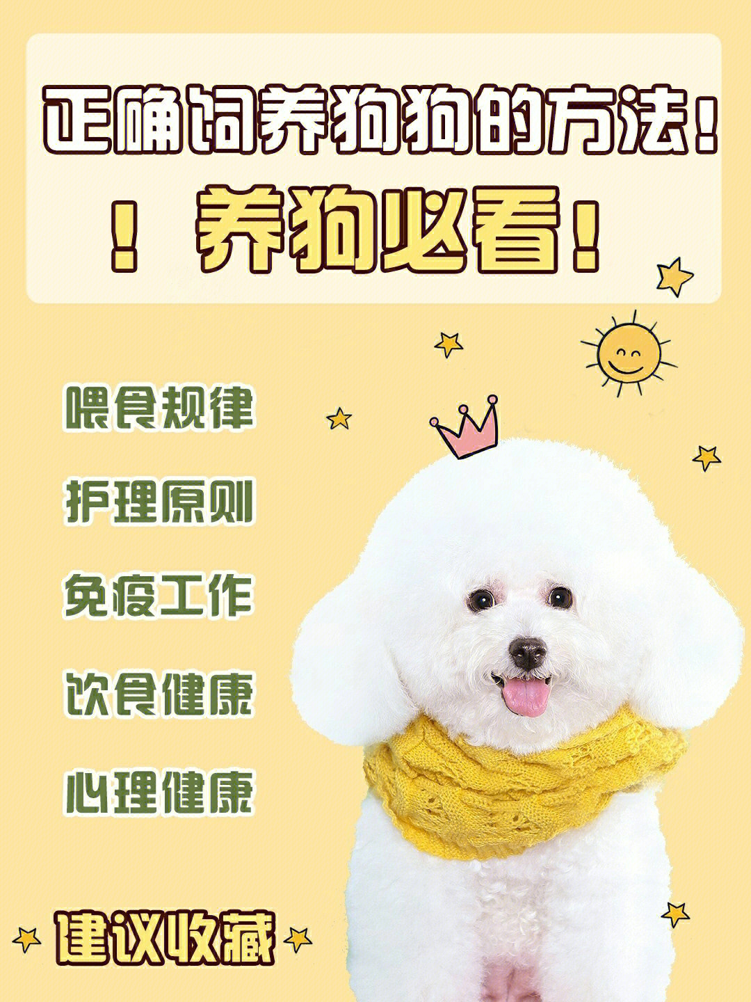 探索宠物最新养法，新理念与技巧的宠物养护之道