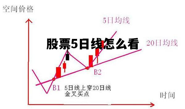 股票五日线解析与解读指南