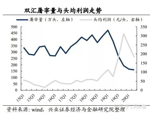 双汇集团股票，小巷深处的特色魅力与探索之旅揭秘。