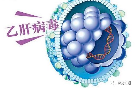 肝炎最新研究进展揭秘，治疗突破与创新进展