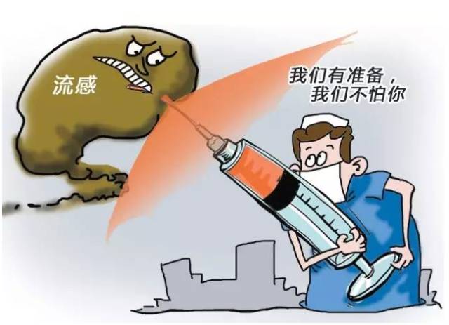 全球流感疫情态势，最新动态与应对策略
