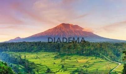 最新电影带你探索自然美景，寻找内心平和宁静之旅