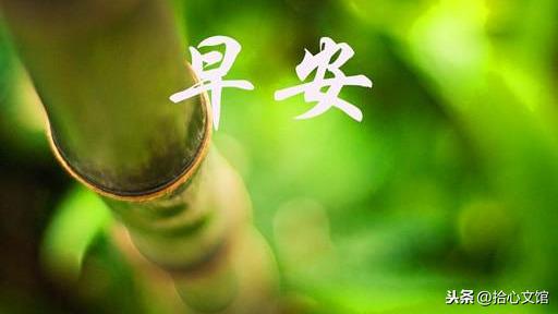 最新PS版本带你探索自然美景，寻找内心平和之地