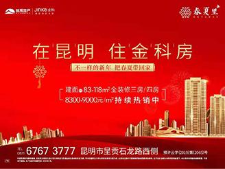 云南最新招聘信息，家的温馨故事与职业发展同步前行
