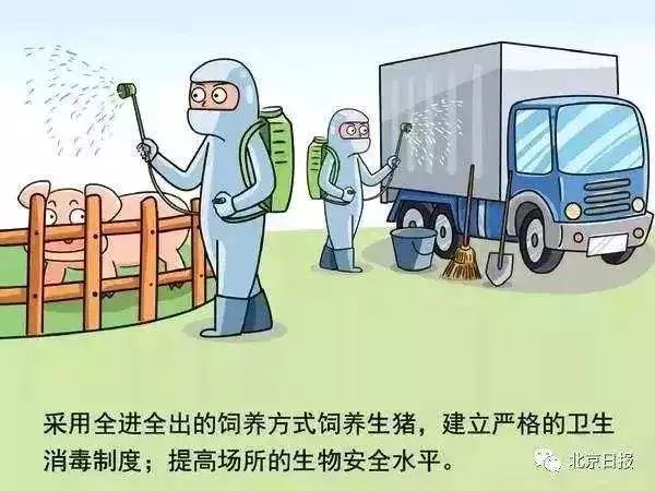 甘肃疫情最新动态下的温馨日常
