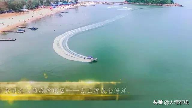 大亚湾最新动态，小巷深处的独特风味