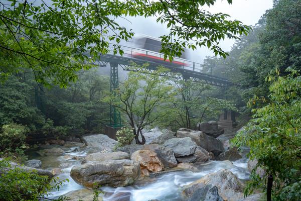 大众最新SUV，驶向自然，探寻内心宁静