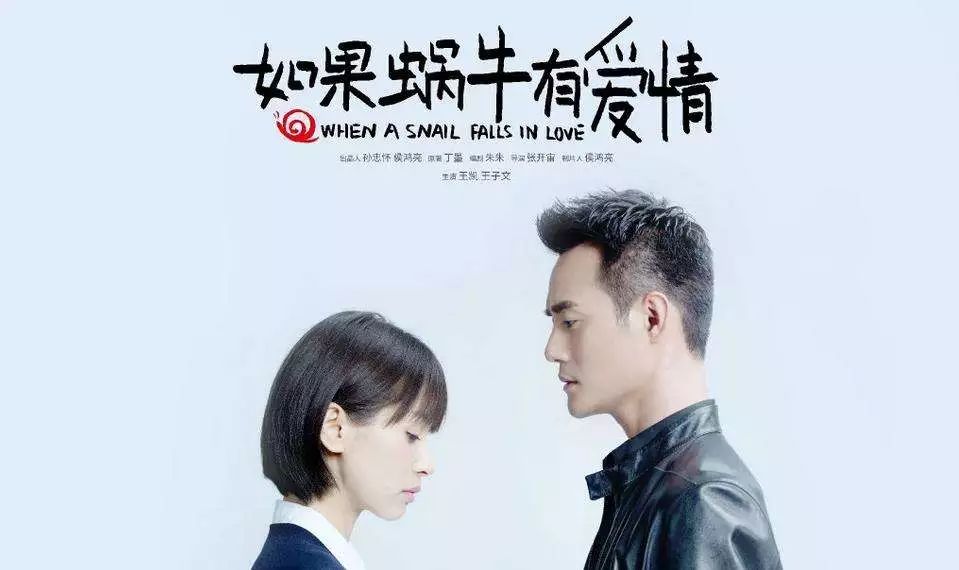 最新爱情故事，情感新篇章与多维视角的浪漫之旅