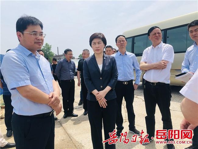 武湖最新动态，巷弄深处的独特风味揭秘