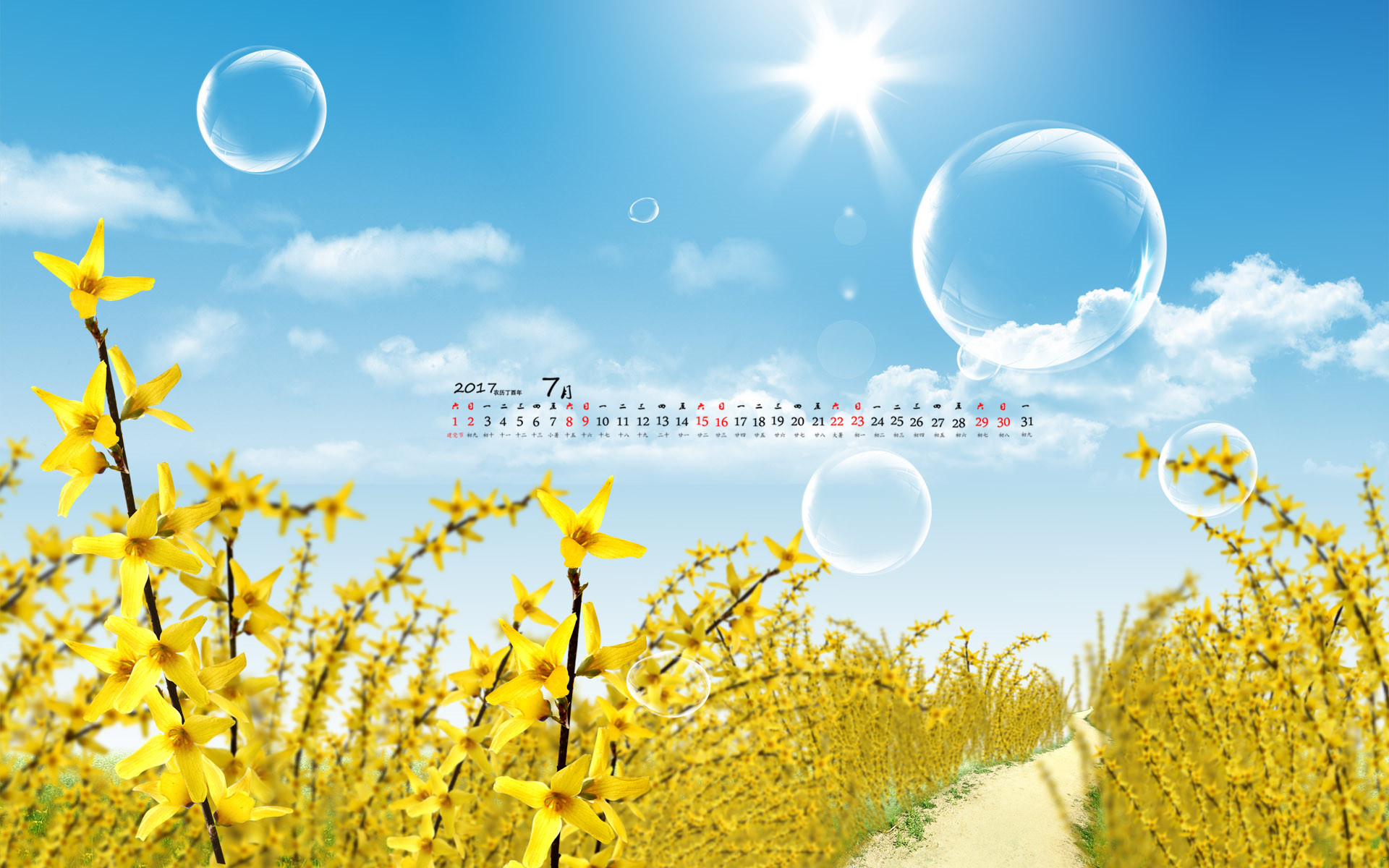 今日天气预报，阳光下的励志变迁故事