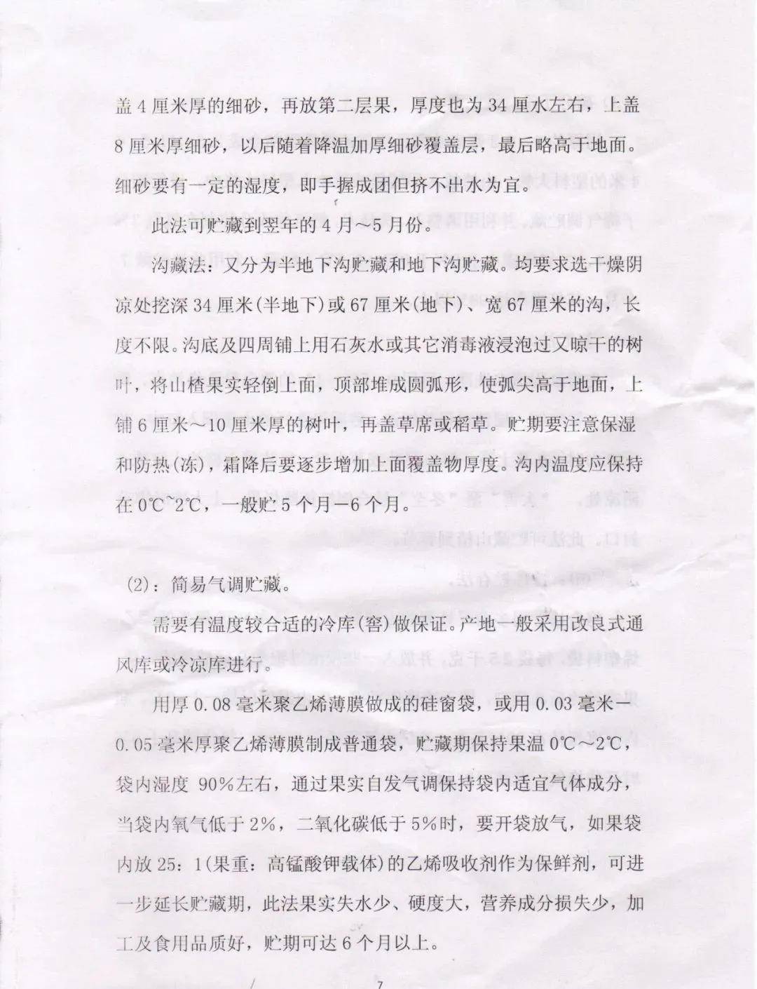 病假规定最新解读与巷弄深处的特色小店探秘
