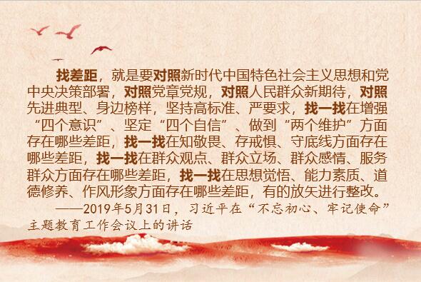 最新党章论述解读，关于党章的最新内容与解读