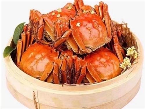 时代变迁中的大闸蟹价格波澜，最新大闸蟹行情分析