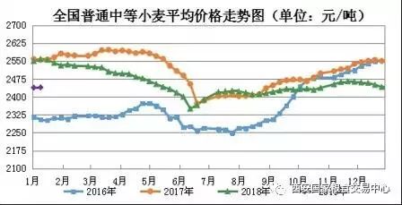 今日最新小麦价格行情，市场走势分析与预测