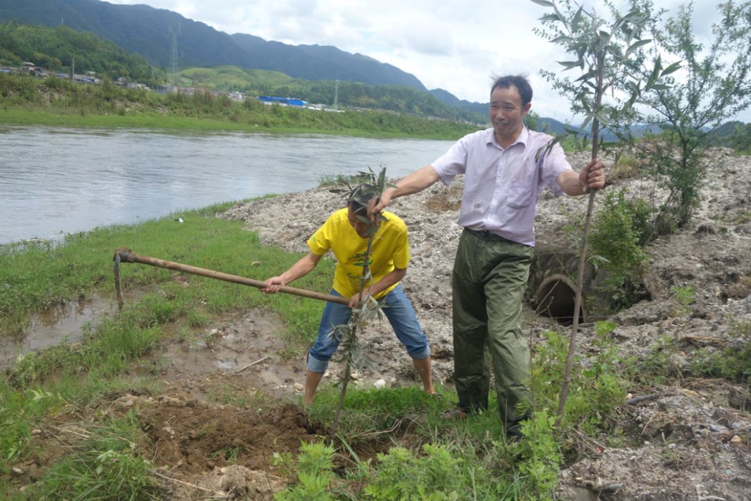 兰考最新动态，自然美景探索之旅，寻找内心平和与喜悦的旅程