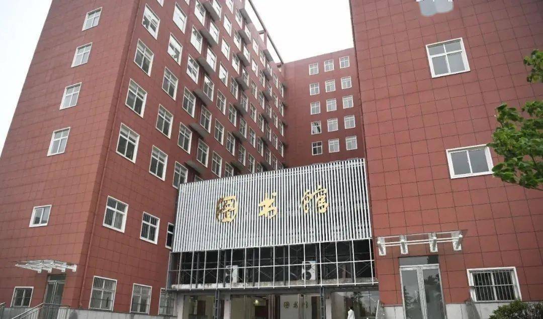 深度解析最新招聘信息，求职市场趋势与个人观点分享